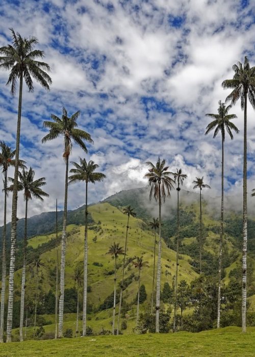 colombia(1)
