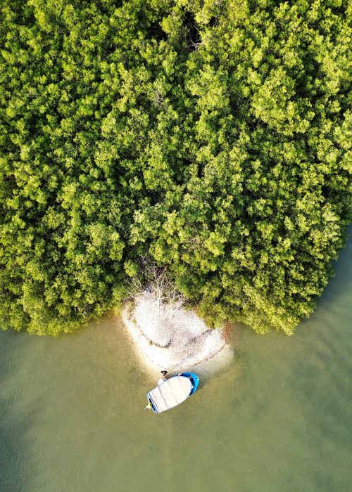 dji_fly_20250310_190230_14_1742906576135_photo_optimized